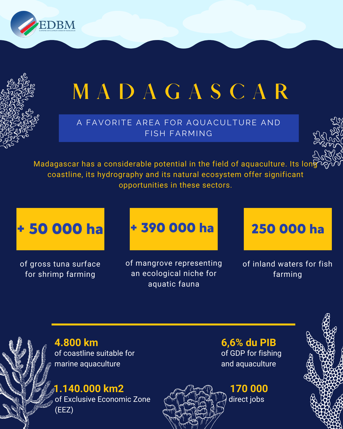 Informative Infographics Statistics Madagascar Opportunities