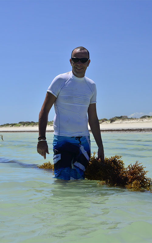 Ocean Farmers harvesting seaweed farming Toliara