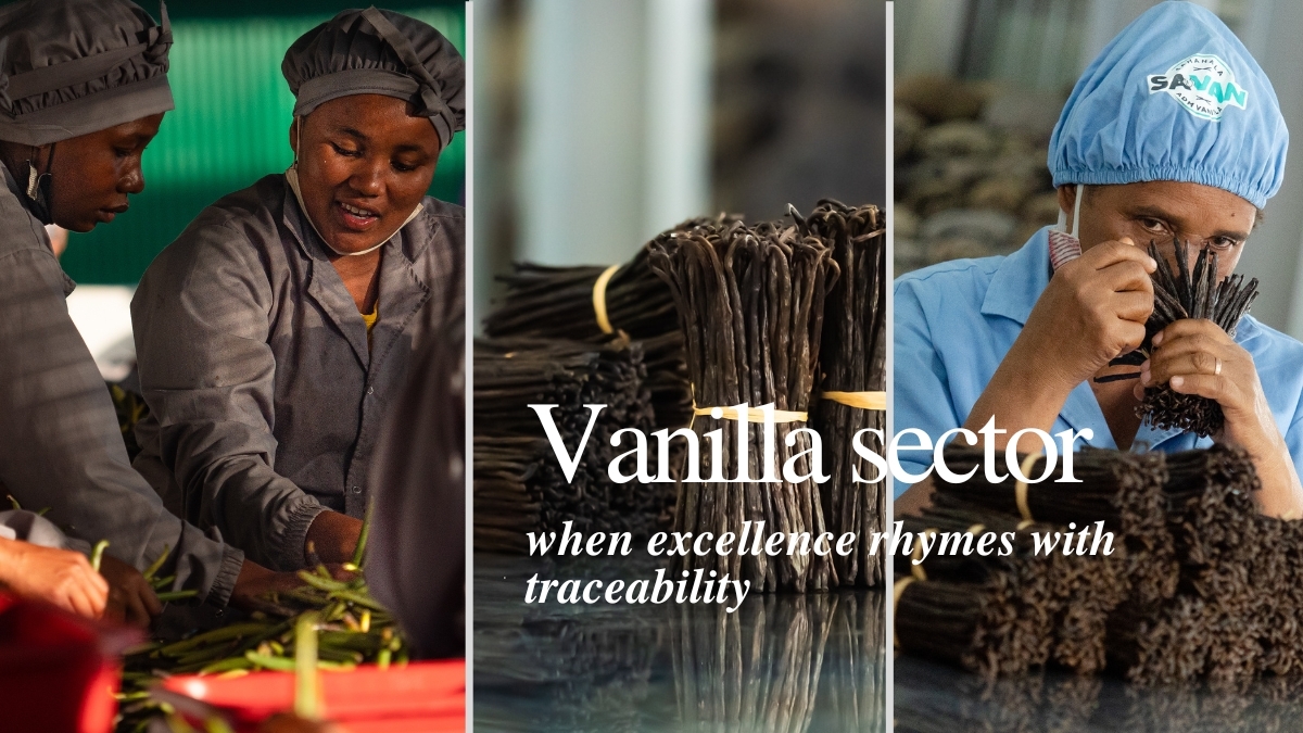 Vanilla sector: when excellence comes from traceability